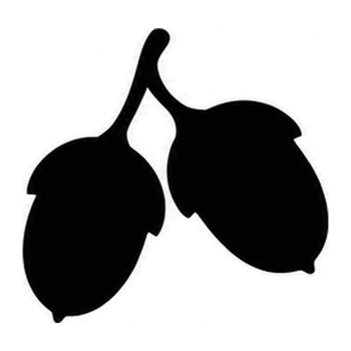 Acorn pair pumpkin pattern